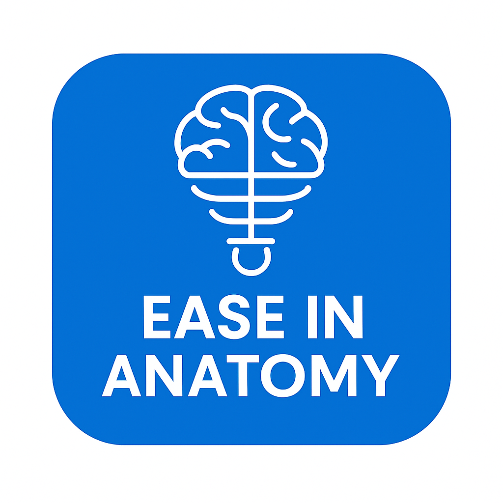Ease in Anatomy Logo
